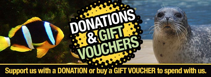 Donations and Gift Vouchers